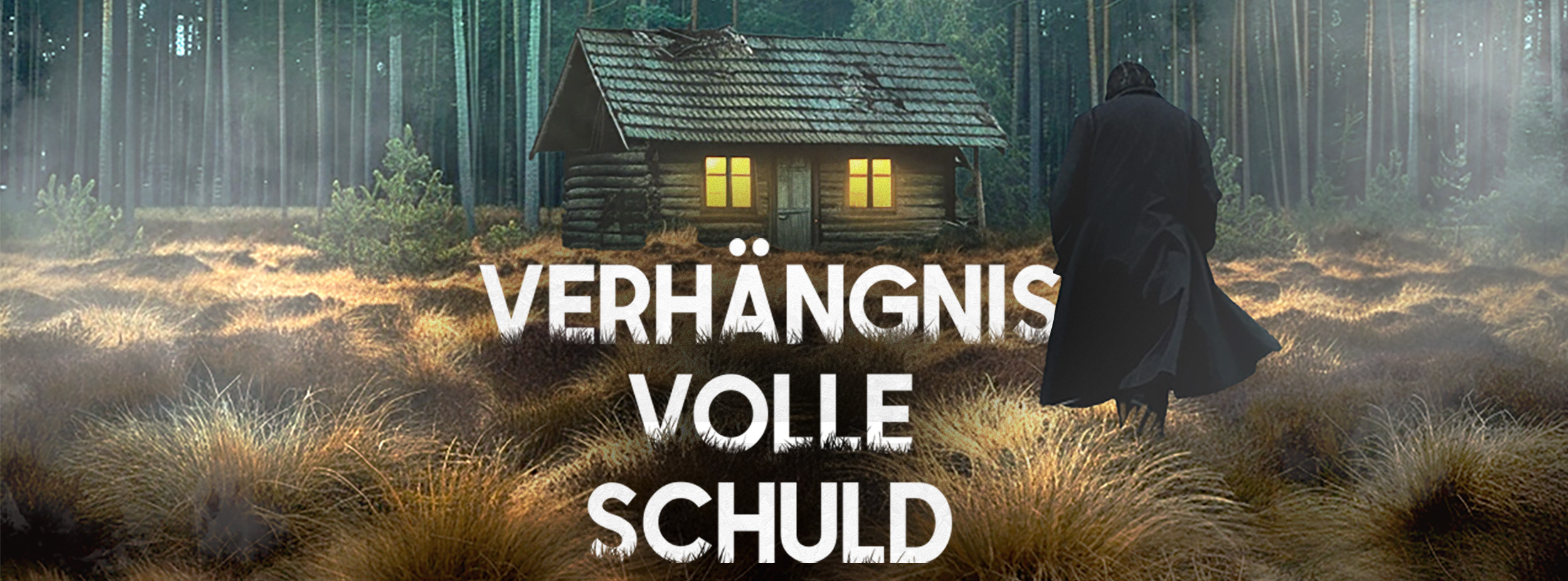 bcd_hetman_vhvs_website-banner low